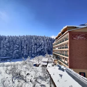 the orchid green resort manali