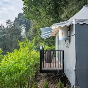 the whispering oaks nainital