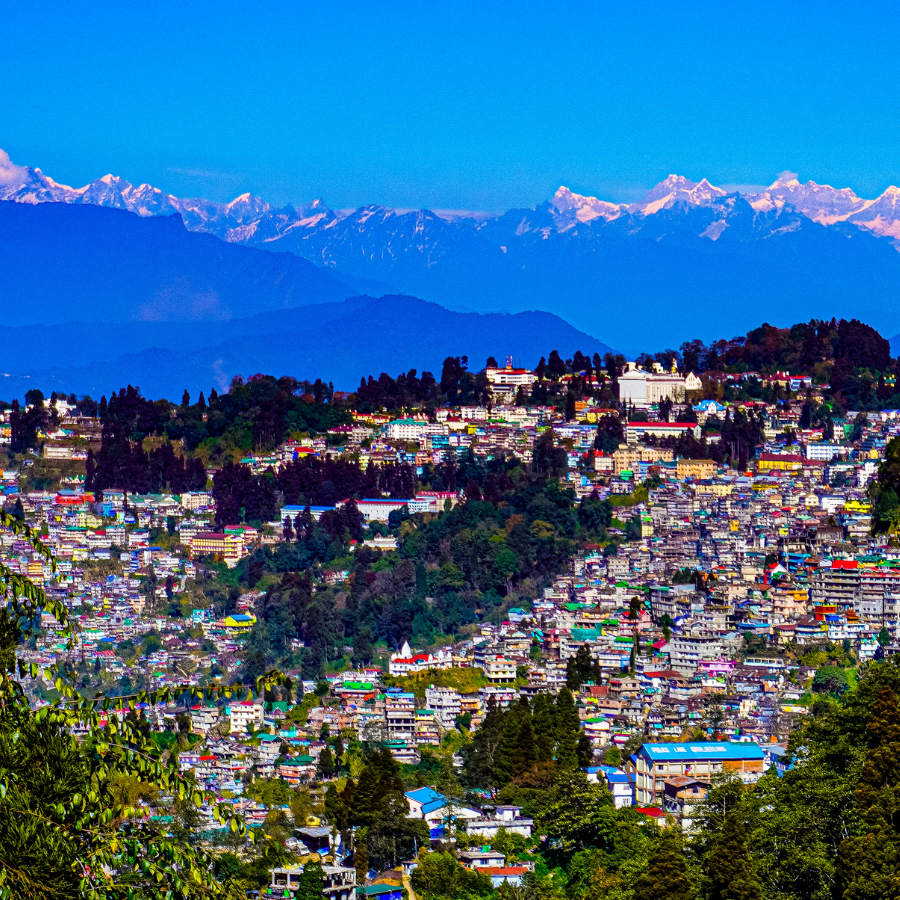 darjeeling