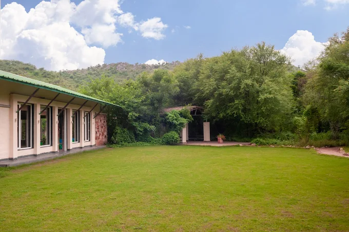 trees n tigers luxury lodge trees n tigers luxury lodge