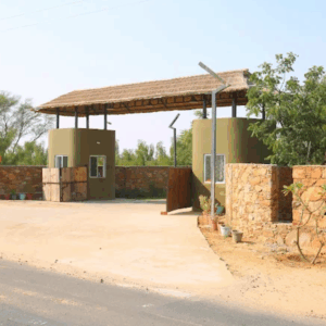the grand wood vacations (19)