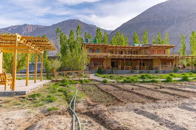 nubra ecolodge nubra ecolodge