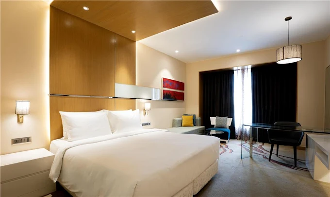 radisson blu radisson blu