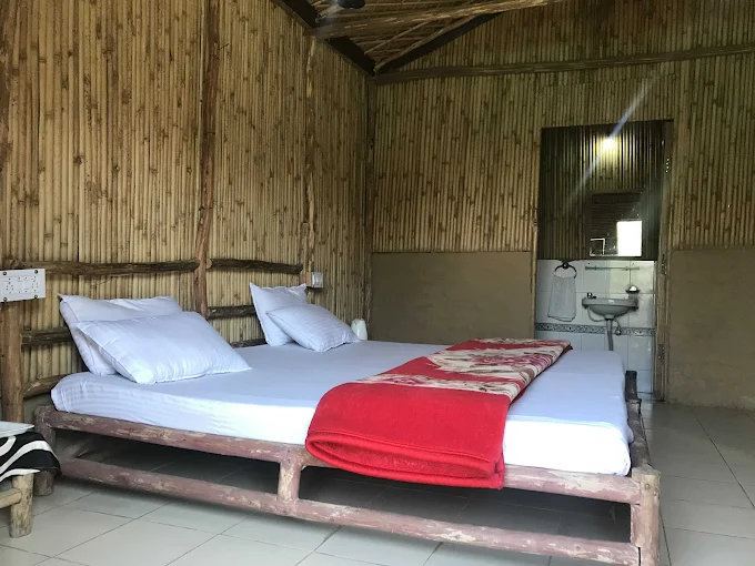 mashobra greens mashobra greens