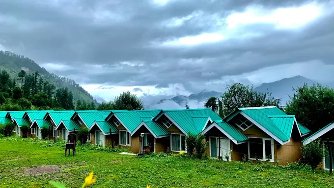 mashobra greens mashobra greens