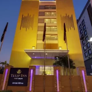 golden tulip essential