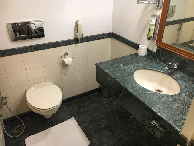 lemon tree hotel lemon tree hotel